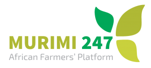 Murimi 247 logo